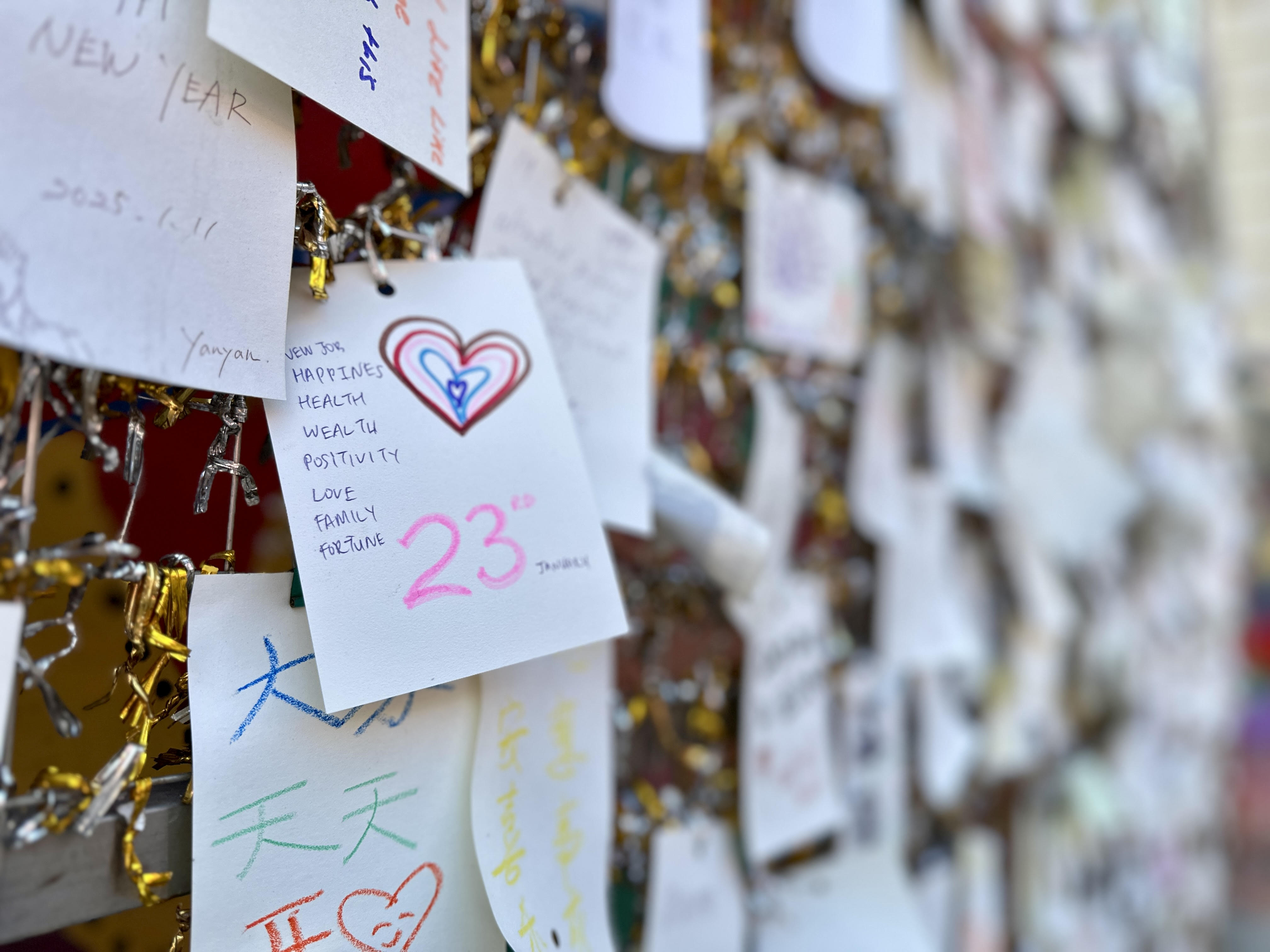 Featured photography